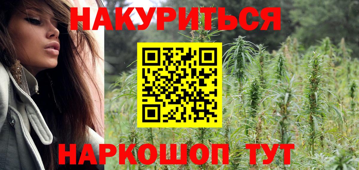 Бошки Шишки MAZAR Красноярск