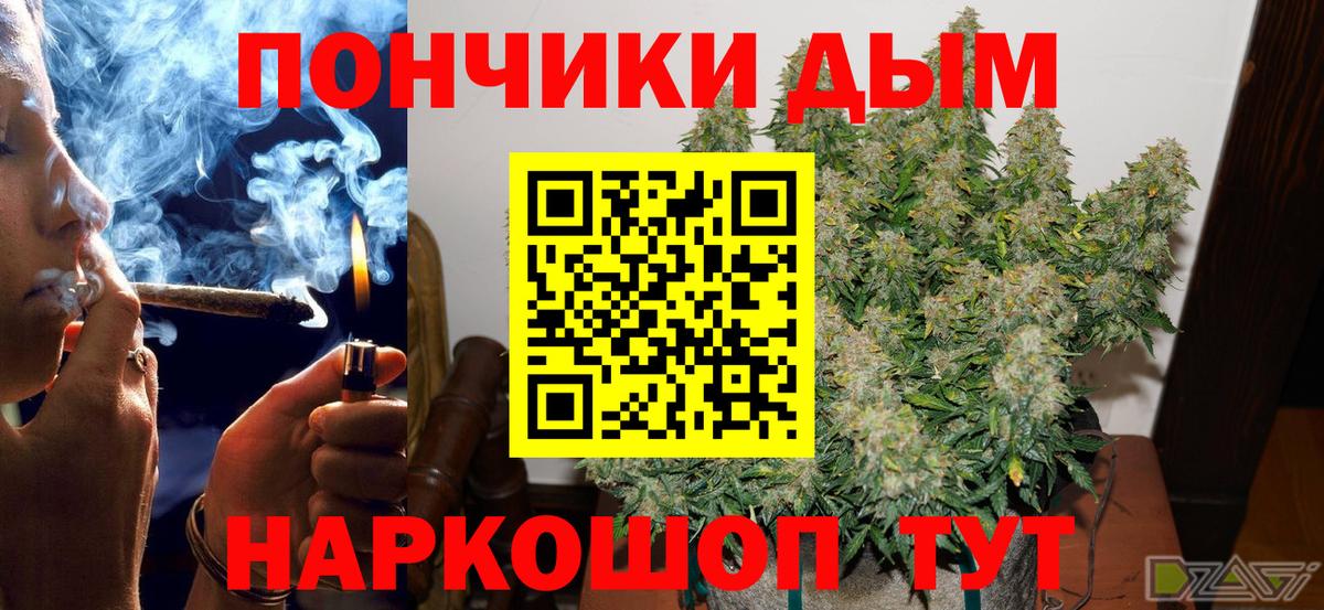 Канабис White Widow  Конопля план  Красноярск  Вход с VPN  Шишки марихуана сатива 